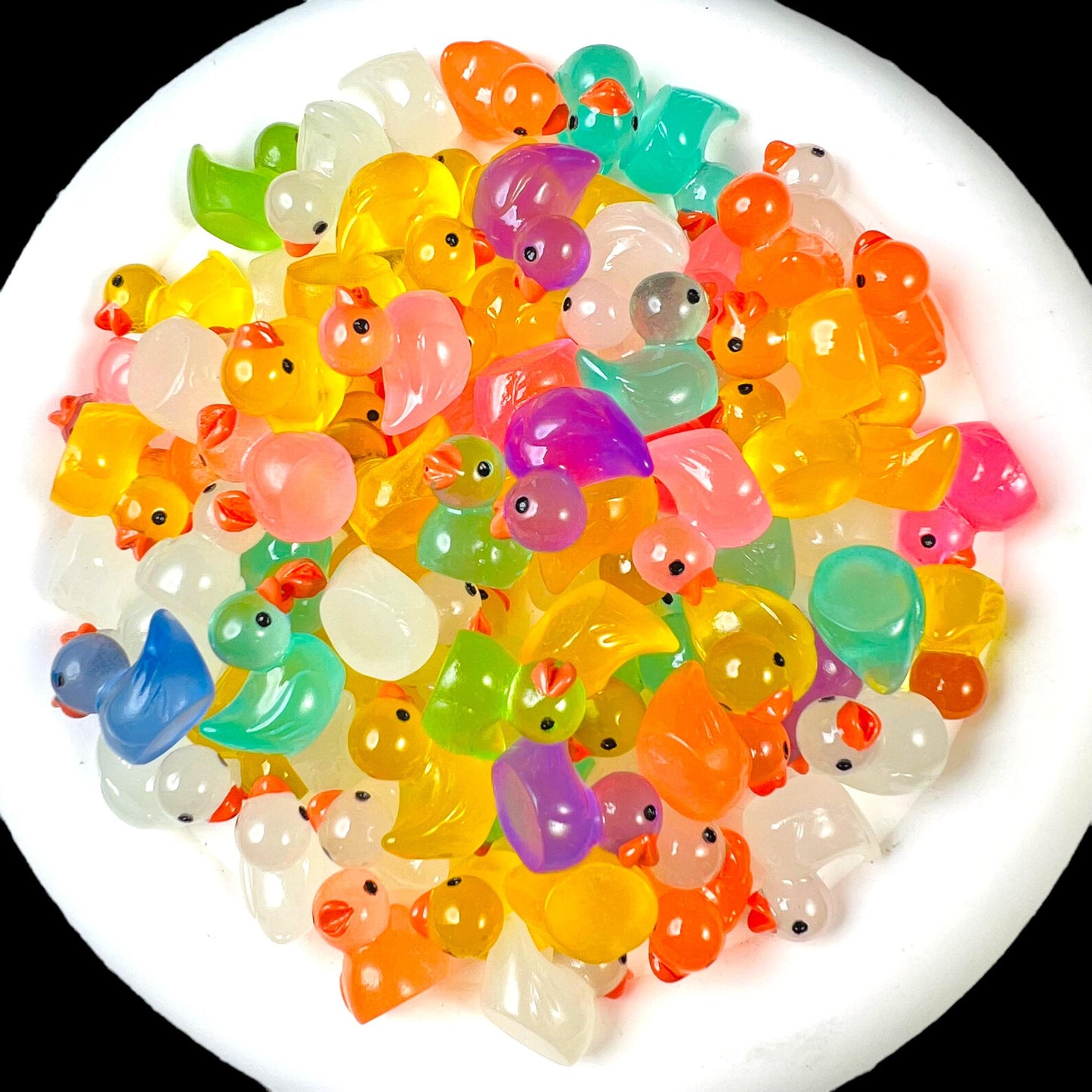 NEW Luminous Ducks